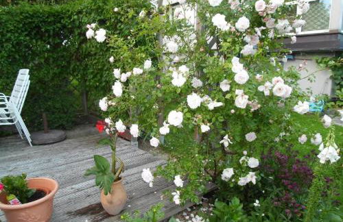 Ferienwohnung "Gaby" - Foto 16