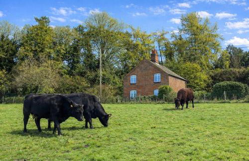Chalk Pit Cottage - Foto 1