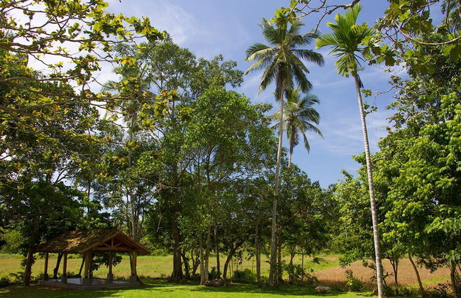 Family House With Large Garden In A Peaceful Setting - Foto 32