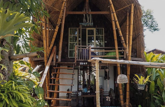 The Frog Cabana - Photo 52