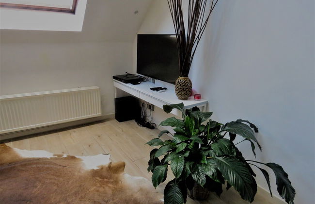 Villa Einstein Apartments - Photo 67