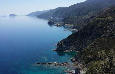 Dafni Studios - Foto 21