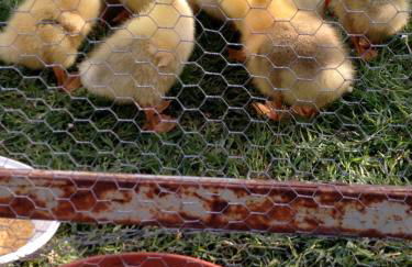 Casetta Tartuchino - Foto 46