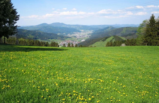 Hideaway Near Black Forest - Foto 24