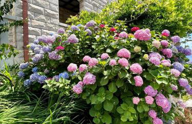 Vila Vera Seafront Apartments - Photo 44