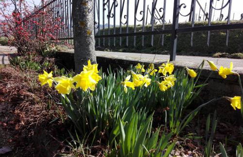 Casa Badinot - Foto 30