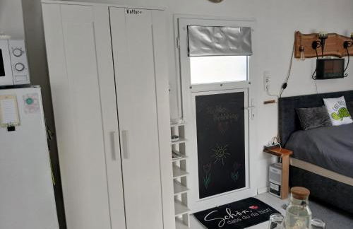 Chillkröte - Foto 3