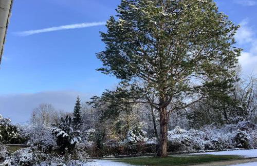 Über den Dächern von Koblenz - Aussichts-Wohnung Naturpark Rheinblick, ruhig, zentrumsnah, Sport-Pool - Foto 20