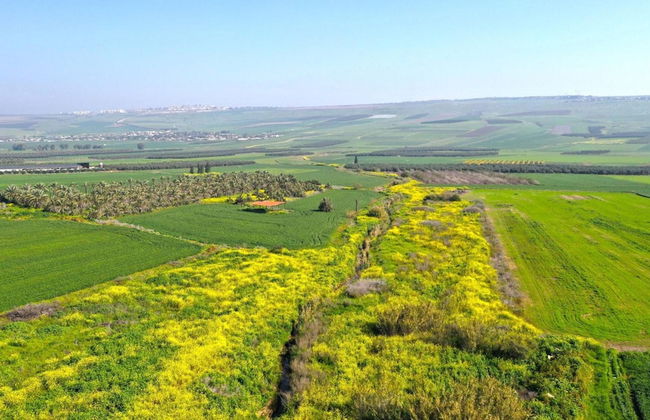 Zimmer BaSadot - Foto 54