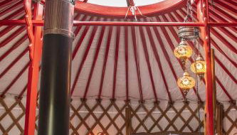 Oystercatcher - Foto 3