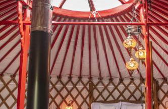 Oystercatcher - Foto 3