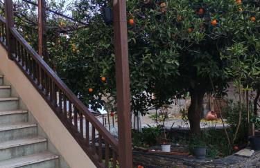 Spartan Antonis' house - Foto 14