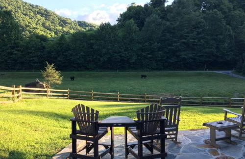 Fairytale: Hot Tub & Trout Stream & Petting Zoo? - Foto 46