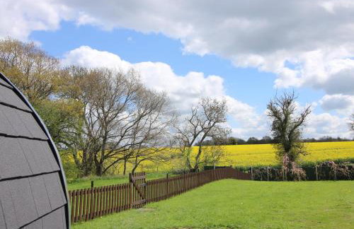 Cherry Pod 2 - Foto 14