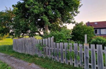 Ferienwohnung Beckenhölzle - großzügig, familienfreundlich & umgeben von Natur - Foto 4