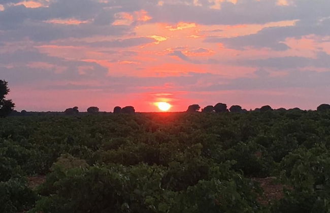 Casa Rural La Navarra - Foto 40