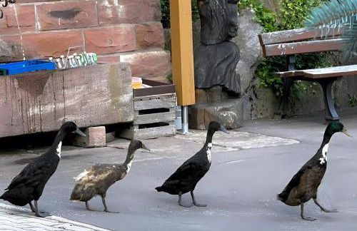 Holderstanzenhof - Foto 11