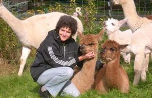 Ferienhaus Alpaka Glück - Foto 39