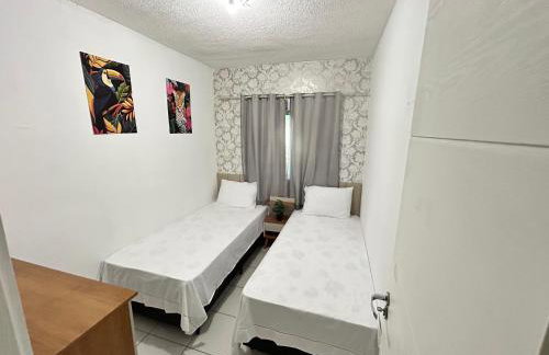 Arara Paraense - Photo 7