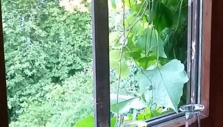 Lenzenhof anno 1720 II - Foto 5