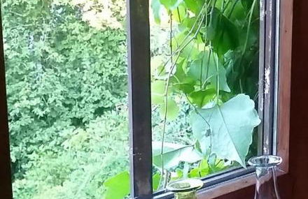 Lenzenhof anno 1720 II - Foto 5