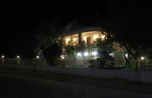 Village House - Photo 41