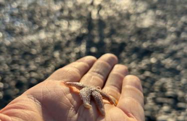 Les Petites Canailles Rooftop - Foto 36