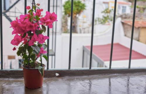 Entire flat great view Alcântara - Photo 19