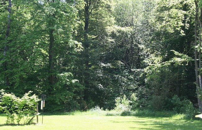 Detached Bungalow With Dishwasher, in a Green Area - Foto 59