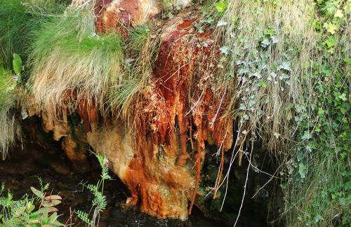 La Roche Pérégrine - Photo 32