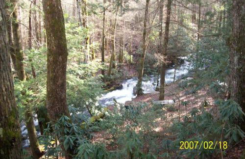 Garden of Eden Cabins - Photo 13