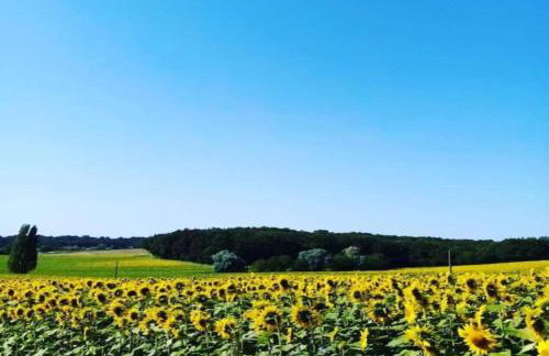 Romantic Stay in a Medieval Castle With Pool and Restaurant Among Others - Foto 78