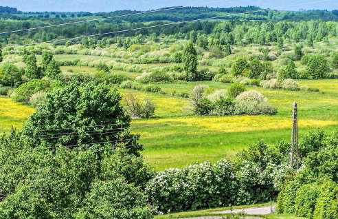 Lovely Home In Malechowo With Wifi - Foto 10