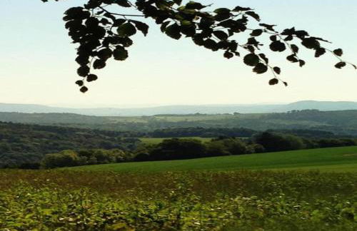 Elegante Ferienwohnung im Schwarzwald, Gorwihl - Foto 61