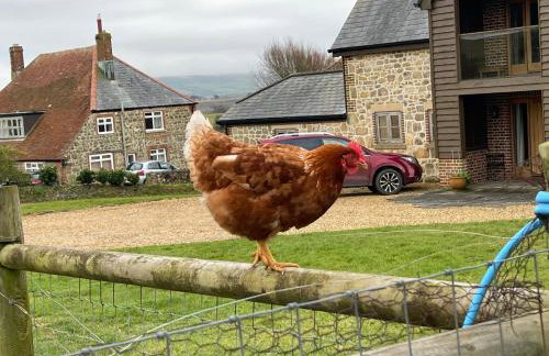 Surf Shack 1-Bed Cottage Sleeps 2 Pet Friendly - Foto 1