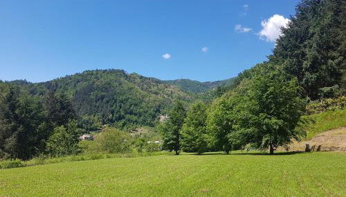 Il Bosco di Campo Marzano Garden Apartments - Foto 2, Garden view