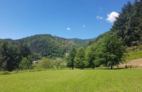 Il Bosco di Campo Marzano studios - Foto 47