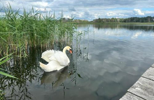 Domek nad jeziorem z własnym pomostem - Foto 6