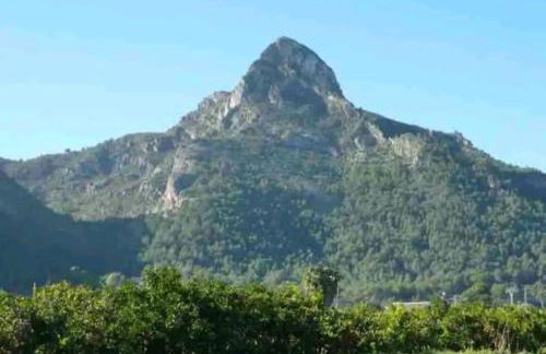 VILLA FALCONERA APARTAMENTS, GANDIA a las faldas de la montaña RELAX & PETS - Foto 43