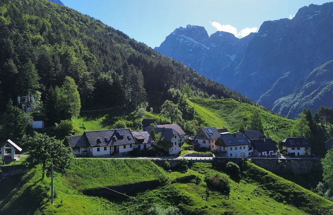 Apartma Pohar- A Bit Different! - Foto 1