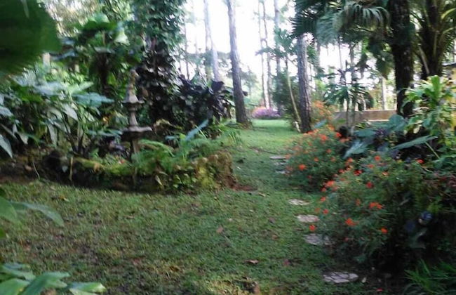 El Nido Cerro Azul - Foto 58