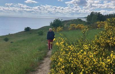 Ferienwohnung Flieder 1 - Foto 12