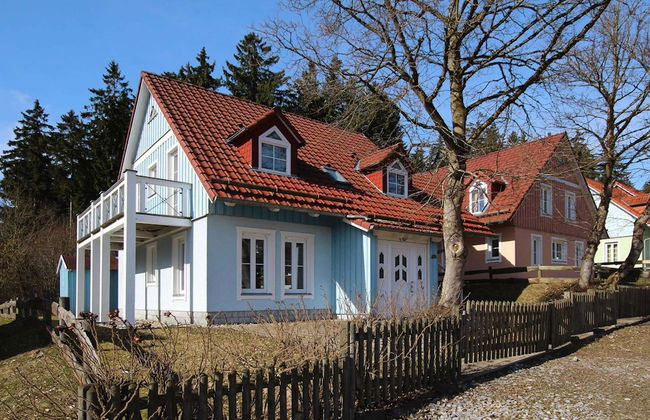 Holiday Home in Harz With Pool & Sauna - Foto 1