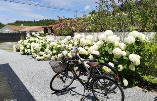 Studio CAP à CAP - Foto 4