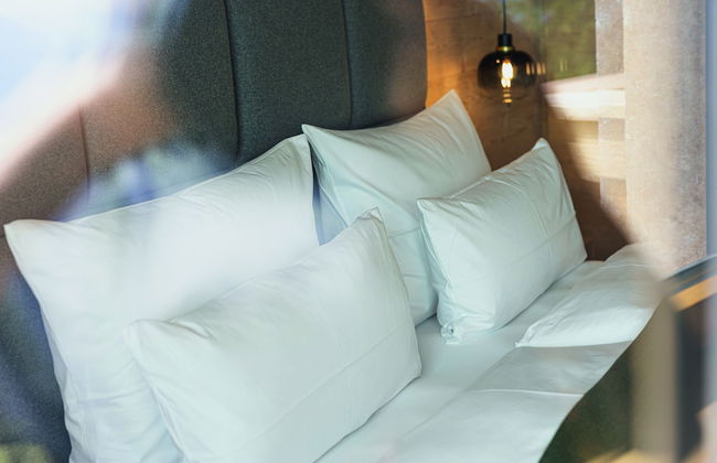 Puitalm - Natur I Apart I Hotel - Foto 58