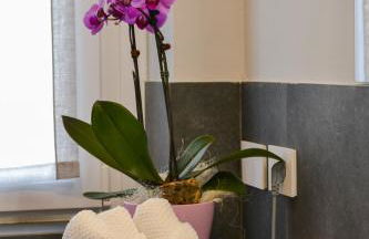 Via Brennero 5 Apartments - Photo 23