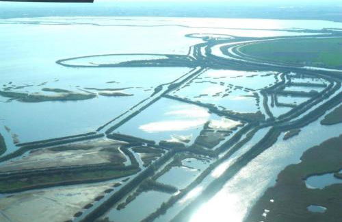 Characteristic Apartment in Codigoro With Pool - Foto 78