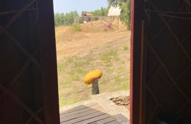 Quinta de São José dos Montes - Foto 32