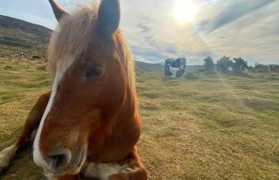 Appartement cosy au calme - Foto 12
