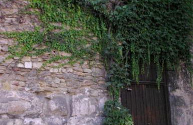 Aufhauser Hof Regensburg - Foto 28